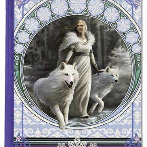 Kladde – Winter Guardians